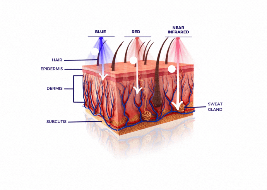diagram_gif_cca1358e-e785-44d7-8d34-4781ee08a0b9.gif